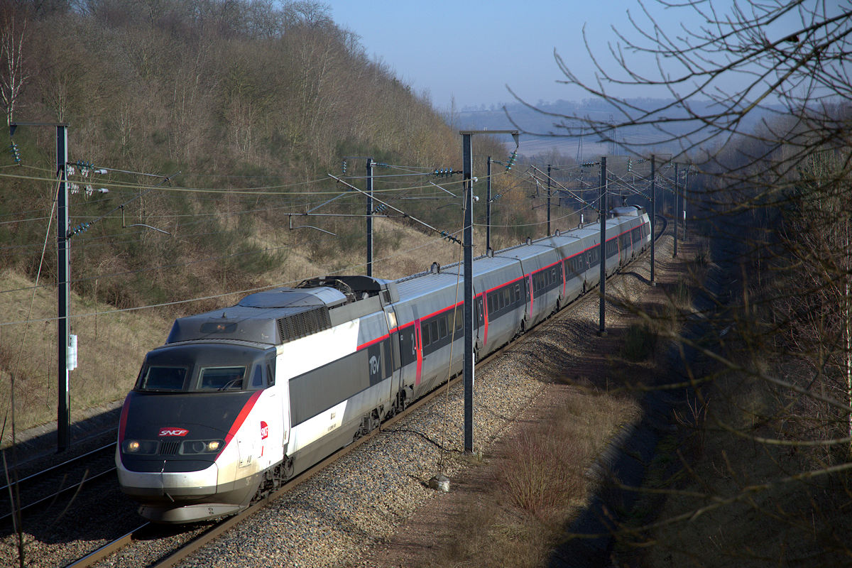 TGV 40