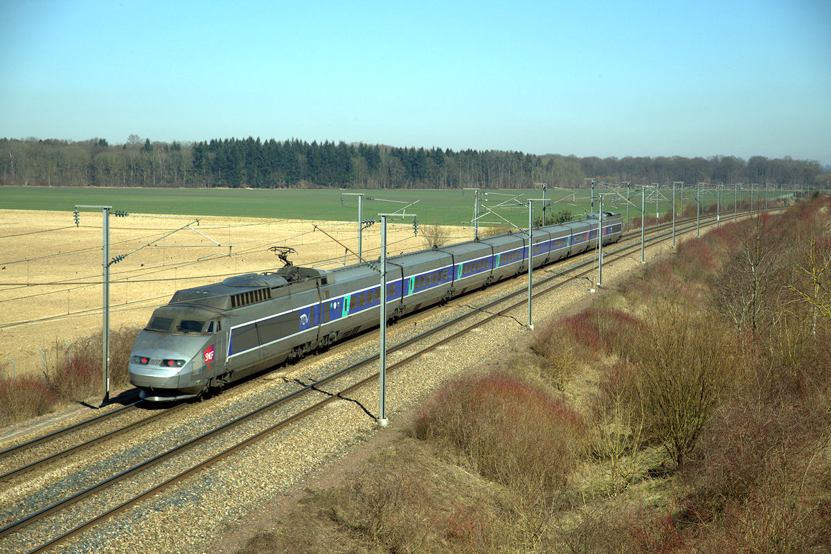 TGV 31
