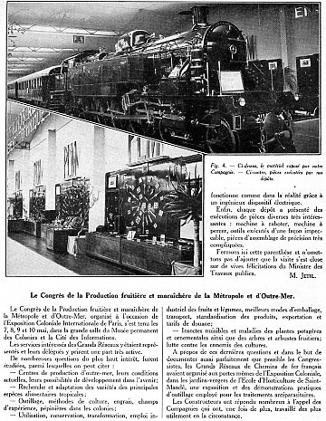 NUMÉRO 16 • JUILLET 1931