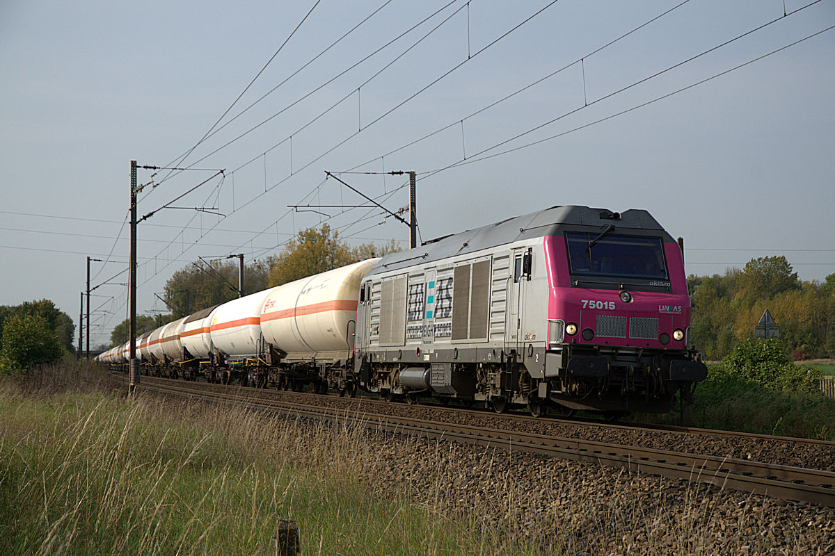 BB 75015 LINΞΛS