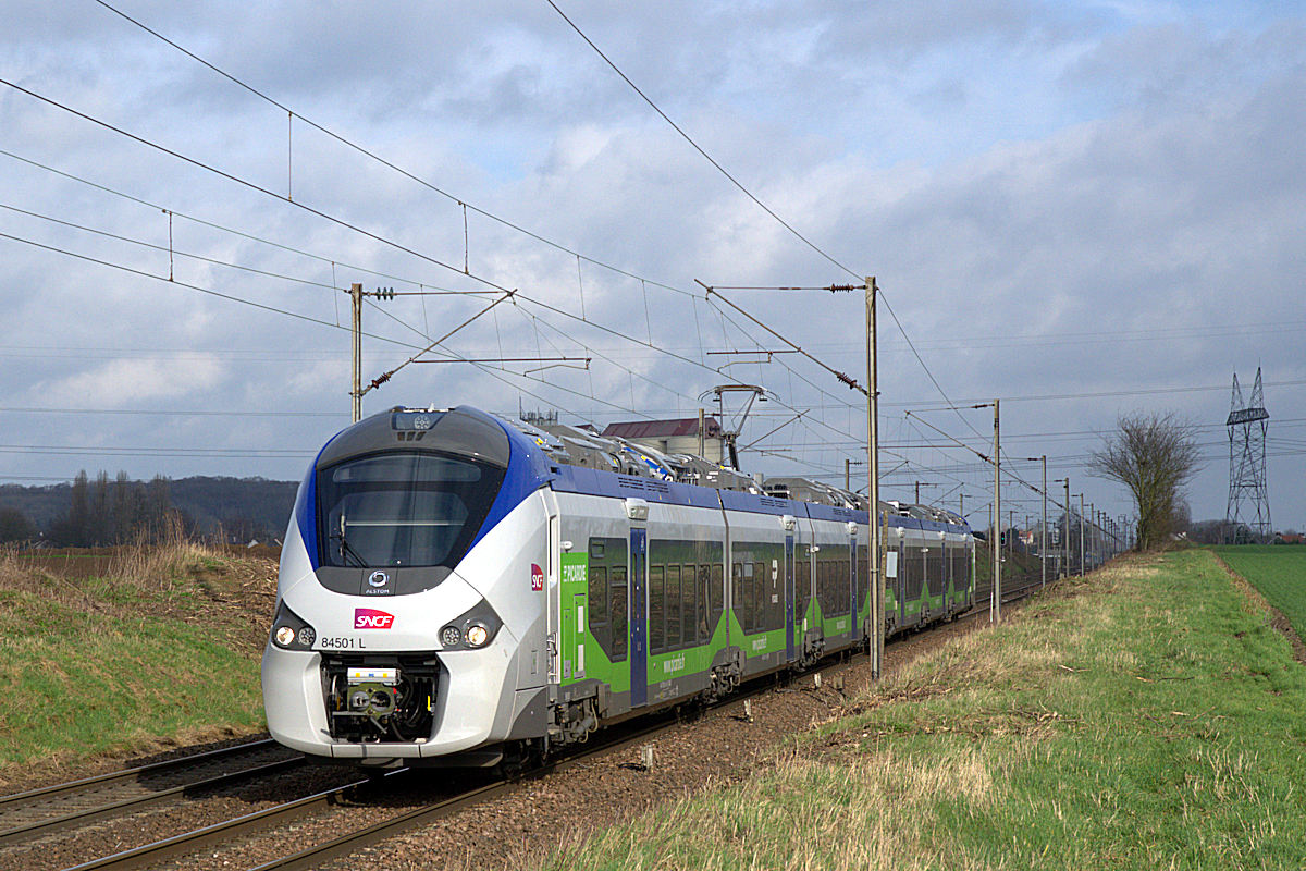 B 84501/B 84502 L PICARDIE