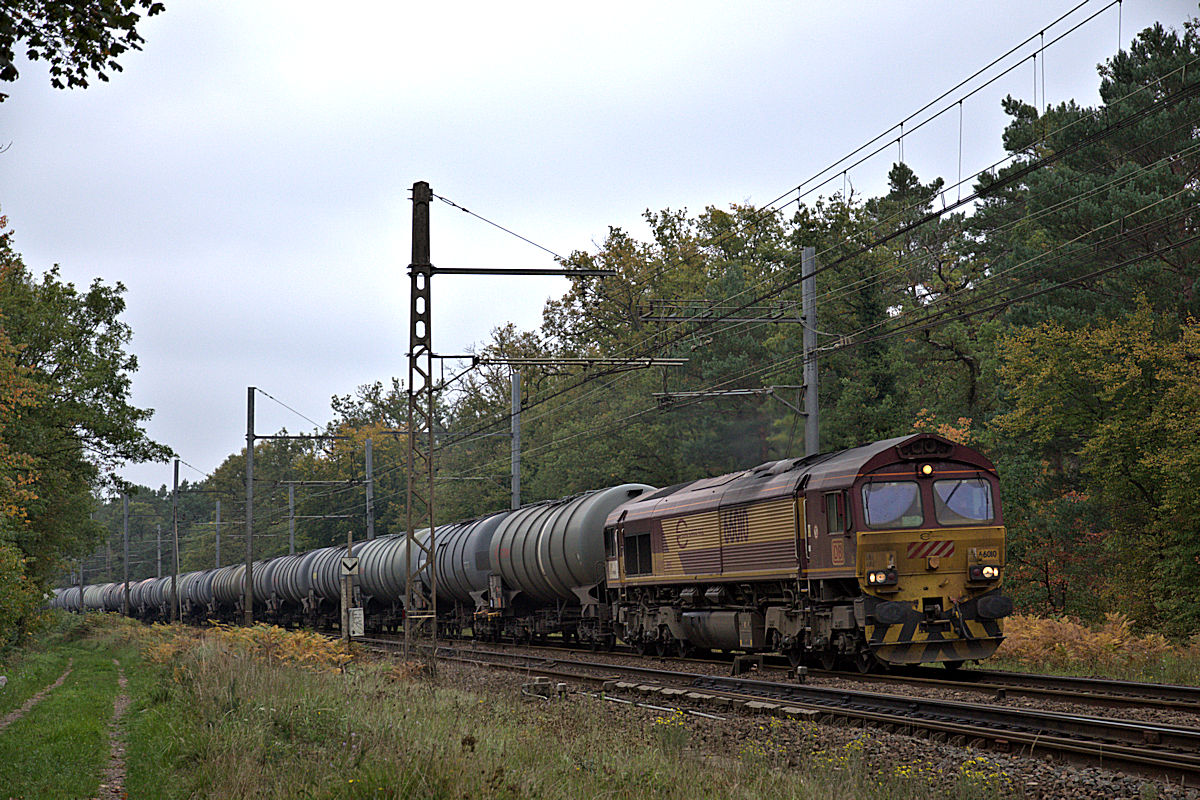 66010 EURO CARGO RAIL