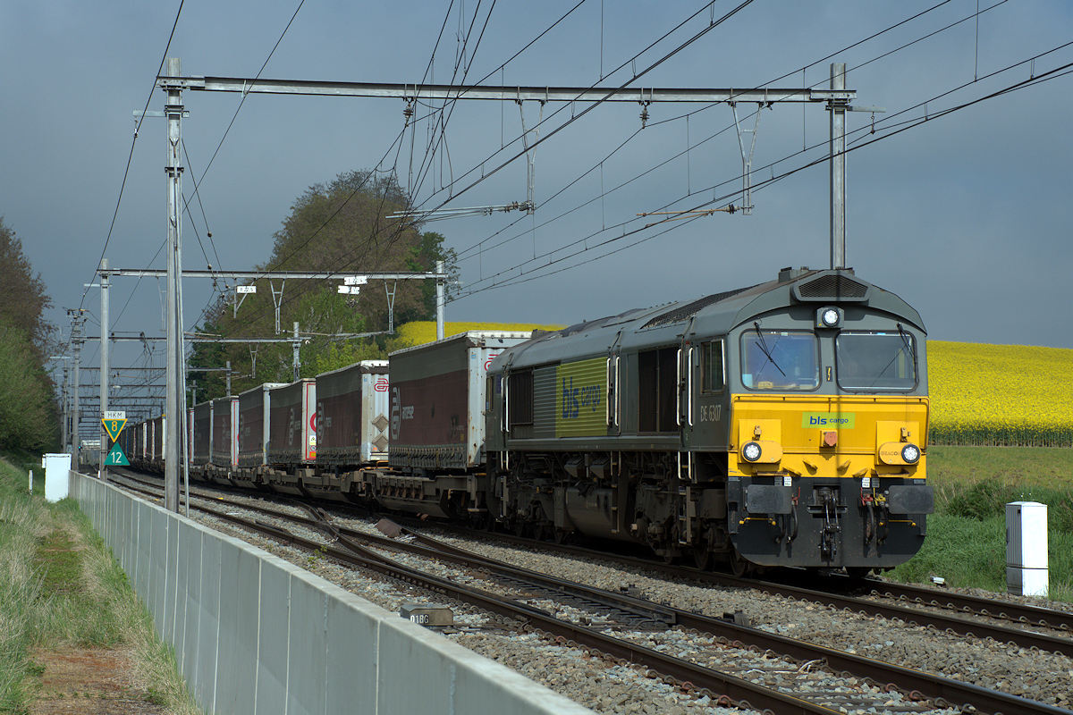 CLASS 66 • DE 6037 BLS CARGO