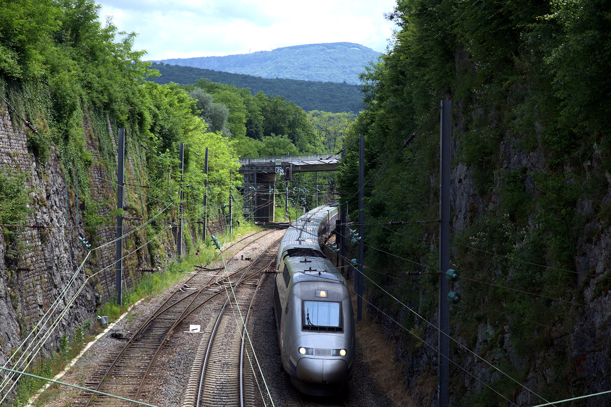 TGV 4419