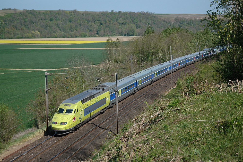 TGV 503