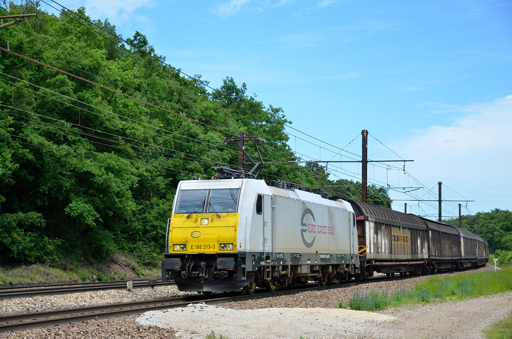 E 186 313-3 EURO CARGO RAIL