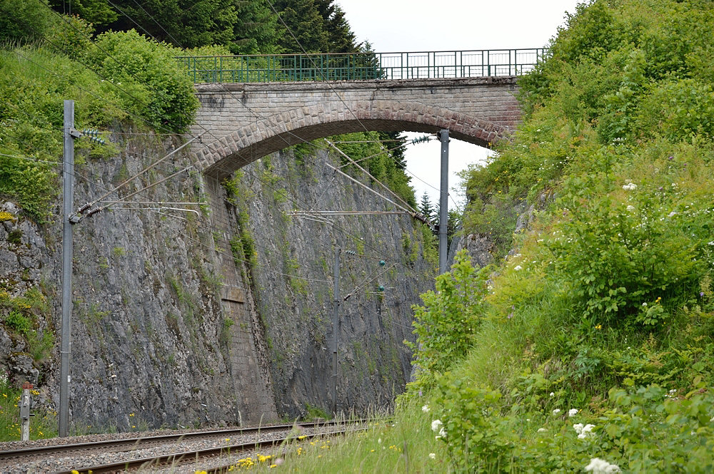 PONT DU JURA VERT