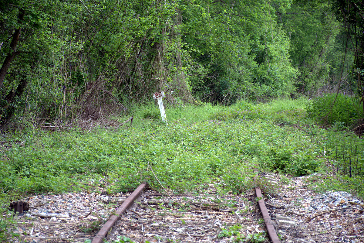 ANCIENNE HALTE DE SAINT-RÉMY • PN 56